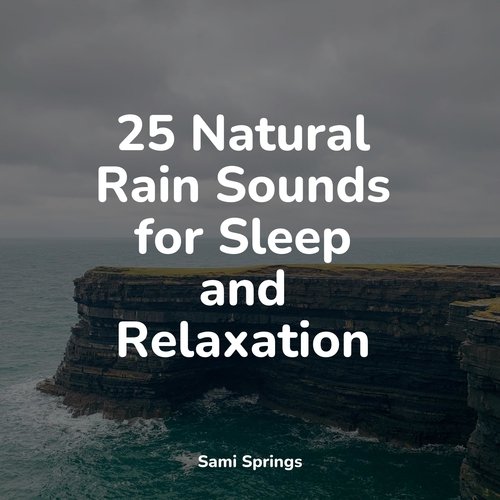 25 Natural Rain Sounds for Sleep and Relaxation_poster_image