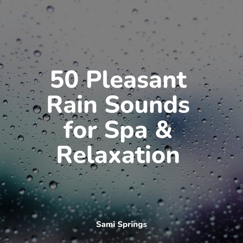 50 Pleasant Rain Sounds for Spa & Relaxation