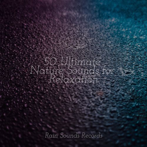 50 Ultimate Nature Sounds for Relaxation