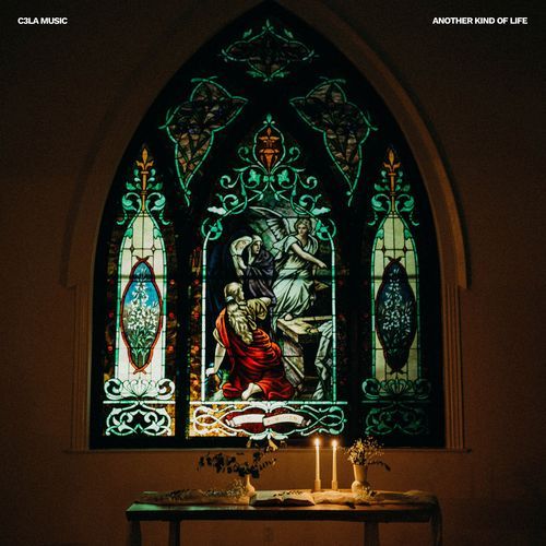 Still Fresh (Live) cover art