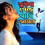 Bhuila Geche Pakhi Amay