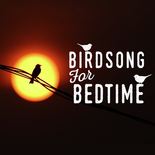 Birdsong for Bedtime