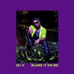 Blame It on Me
