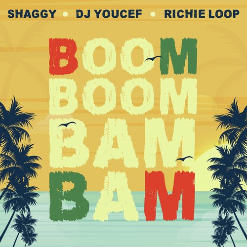 Boom Boom Bam Bam - Song Download from Boom Boom Bam Bam @ JioSaavn