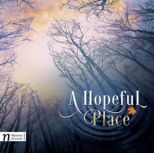 Dan Redfeld: A Hopeful Place_poster_image