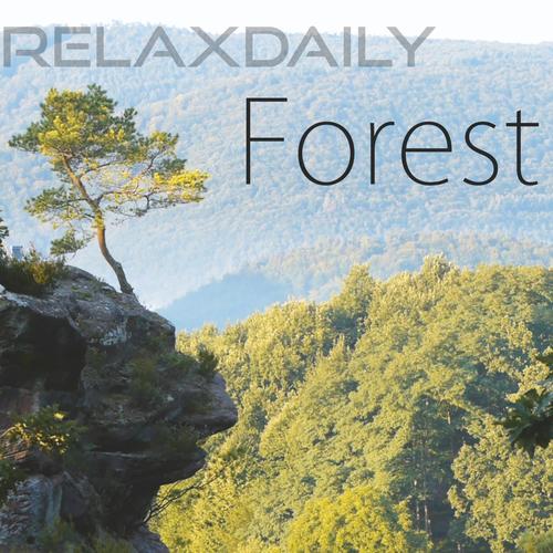 relaxdaily