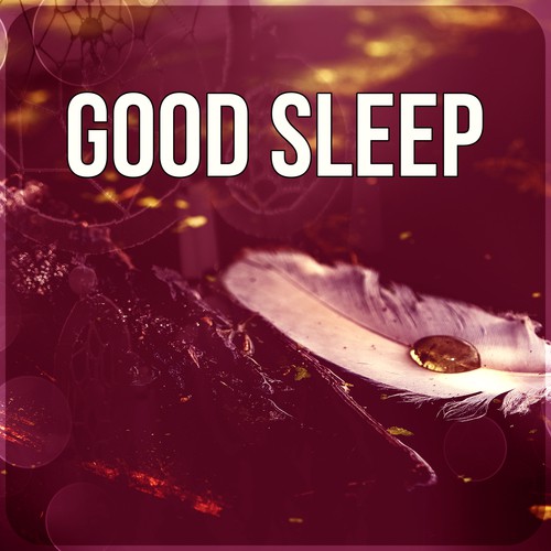 Good Sleep - Stress Relief, Nature Sounds, Restful Sleep, Gentle Music, Mind and Body Harmony, Calming Music, Relaxing Background Music, Therapy Music