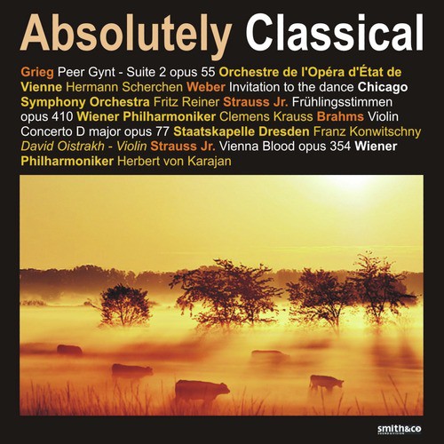 Violin Concerto in D Major, Op. 77: I Allegro non troppo