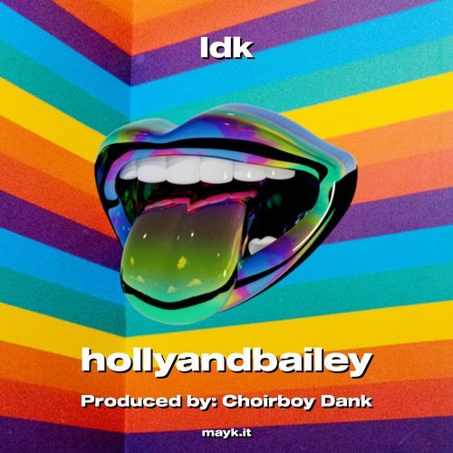 Idk cover art