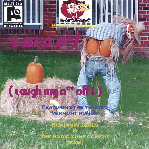 Hicks and Stuff Store cover art