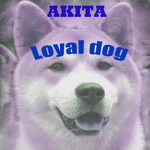 Akita