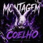 MONTAGEM COELHO (Original) artwork