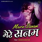 Mere Sanam (Romantic Song)