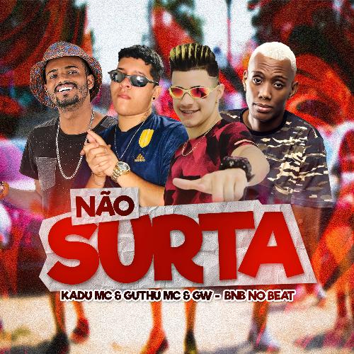 Não Surta cover art
