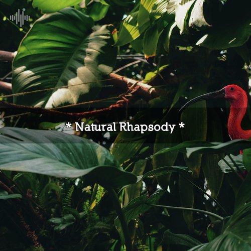 Ambient Nature Sounds cover art