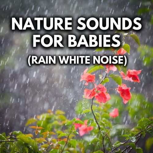 White Noise Train Rain cover art