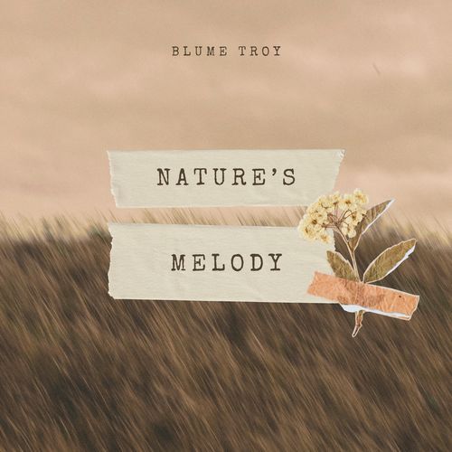 Sunset Over Fields cover art