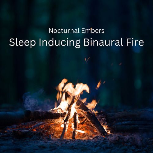 Binaural Fire in the Valley Sleep cover art