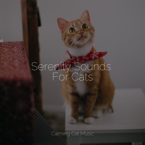 Lazy Morning cover art