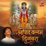 Shripad Vallabh Digambara