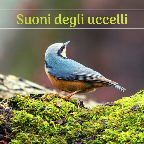 Foresta incantata cover art