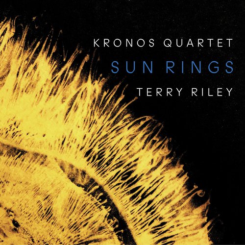 Terry Riley: Sun Rings - Beebopterismo_poster_image