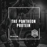 The Pantheon Protein (feat. Fran Garro) (Hardstyle)