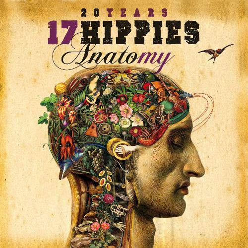 20 Years 17 Hippies - Anatomy