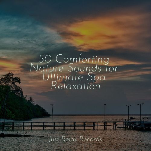 50 Comforting Nature Sounds for Ultimate Spa Relaxation