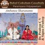 Ambanee Sharanamu