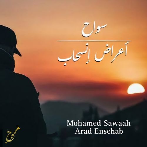 Arad Ensehab cover art