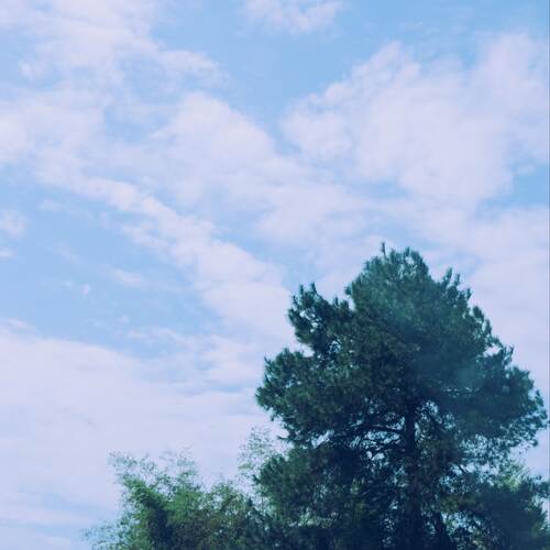 睡眼惺忪 (八音盒) cover art