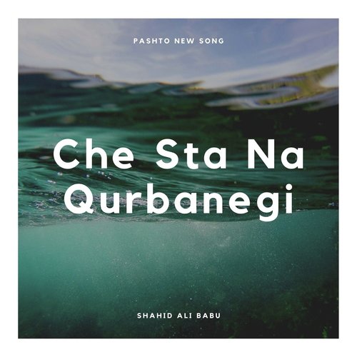 Che Sta Na Qurbanegi