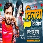 dilwa hil gail (bhojpuri)