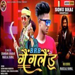 gangland (Sonu Bhai)