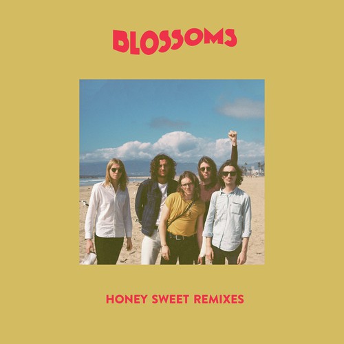 Honey Sweet (Dan Croll Remix) cover art