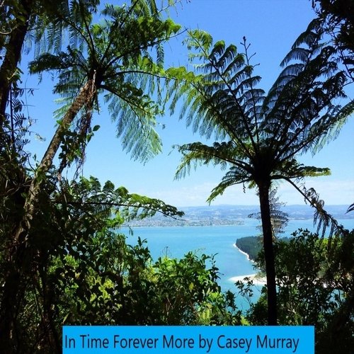 In Time Forever More (feat. Jim Bradshaw, Marian Burns, Janine Beattie, Gail Tipene, Clyde Ryland, Tracey Houia, Nick Houia, Joanne Murray, Sel Nash, Dave Tusani, Stuart Pearce, Bruce King & Te Ropu Te Rangi Marie) cover art
