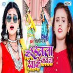 Kare Hamla Khake Kamla