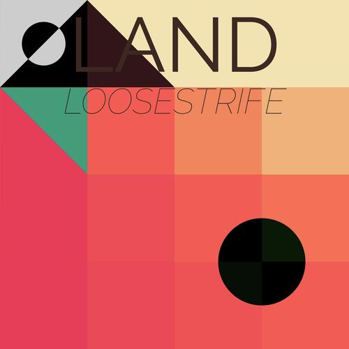 Land Loosestrife