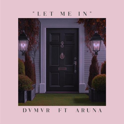 Let Me In (feat. Aruna)