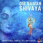 Om Namah Shivaya (From &quot;Shiva &amp; Gayathri Mantra Smarane&quot;)