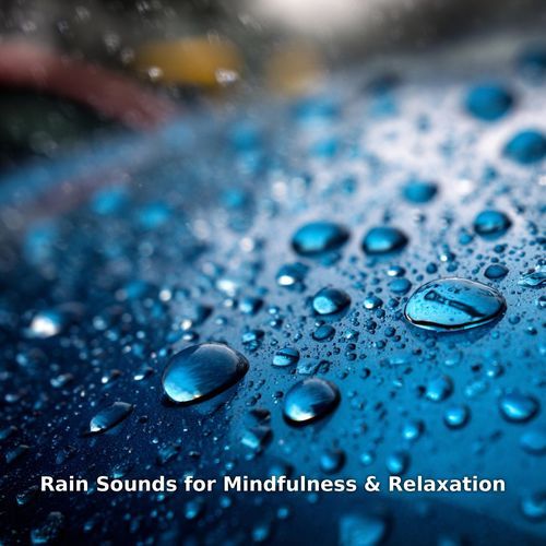 Mindful Breathing with Rainfall, Pt.6