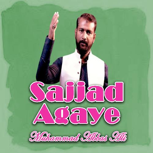 Sajjad Agaye
