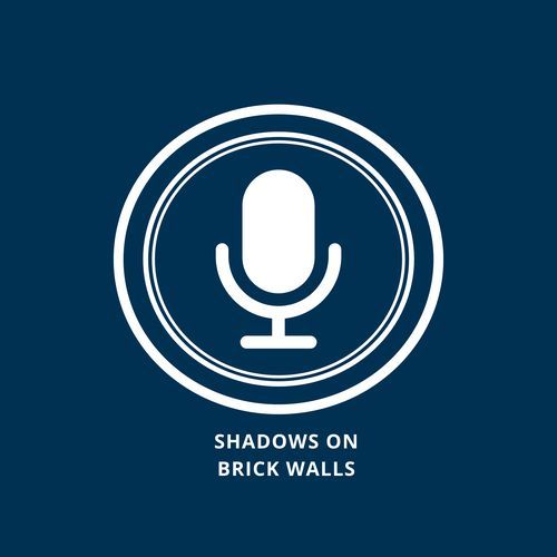 Shadows on brick walls