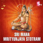 Sri Maha Mrityunjaya Stotram