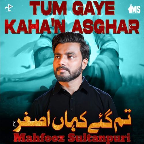 Tum Gaye Kahan Asghar