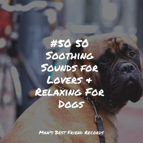 #50 50 Soothing Sounds for Lovers & Relaxing For Dogs