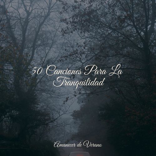 50 Canciones Para La Tranquilidad_poster_image