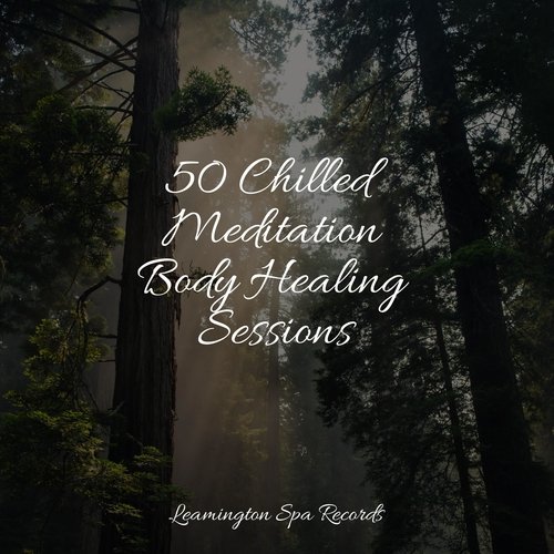50 Chilled Meditation Body Healing Sessions