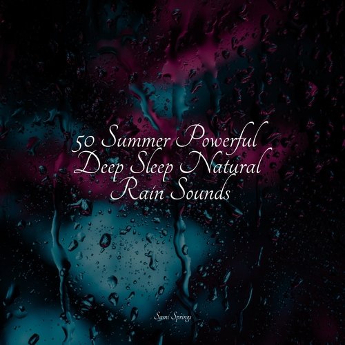 Rain, Storm and Thunder cover art